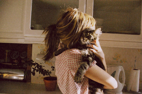 cat, girl, kitchen, love, photography
