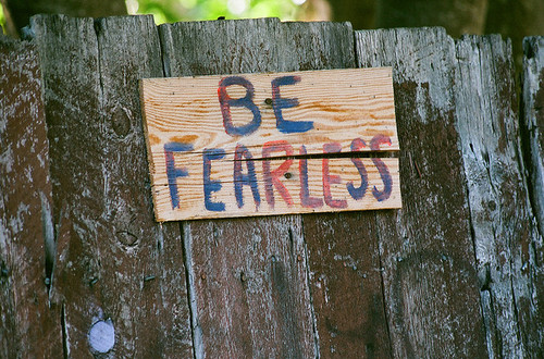fearless, fence and photography