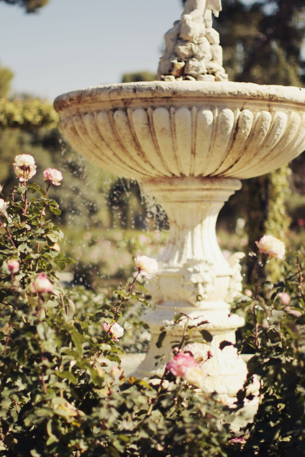 flowers, fountain and garden