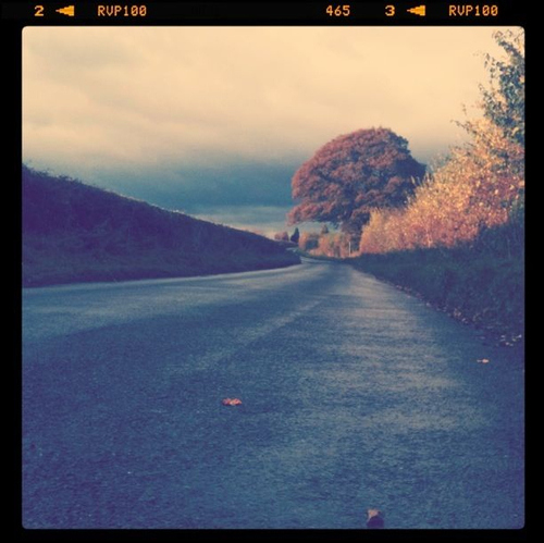 amazing, autumn, camera, cold, colours, cute