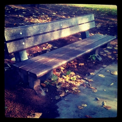autumn, bench and benches