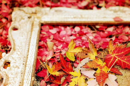 autumn, frame and leaves
