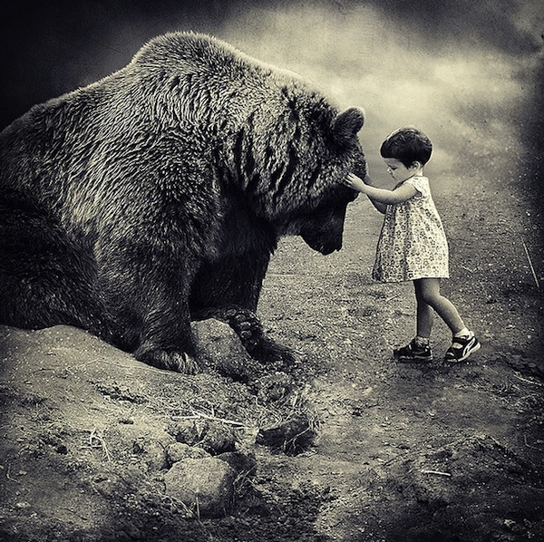 bear, child and friendship