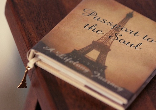 book, eiffel tower and france