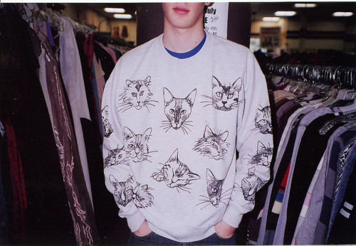 boy, cats and clothes