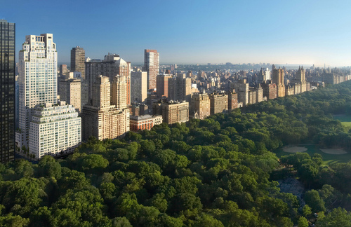 central park, city and new york