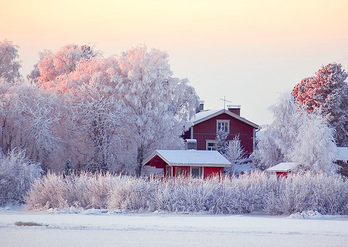 frost, hoarfrost and house