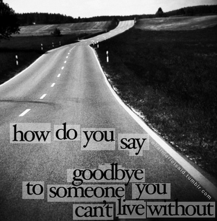  Love Pictures on Goodbye  Live  Love  Quote  Sad  Someone   Inspiring Picture On Favim