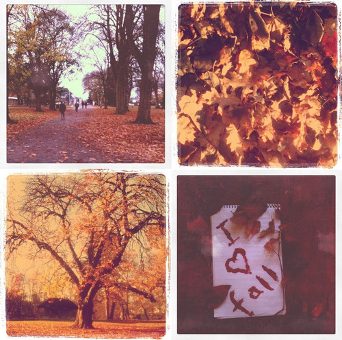 amazing, art and autumn