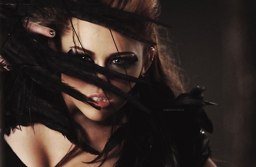 amazing, beautiful, bird, cyrus, miley, miley cyrus