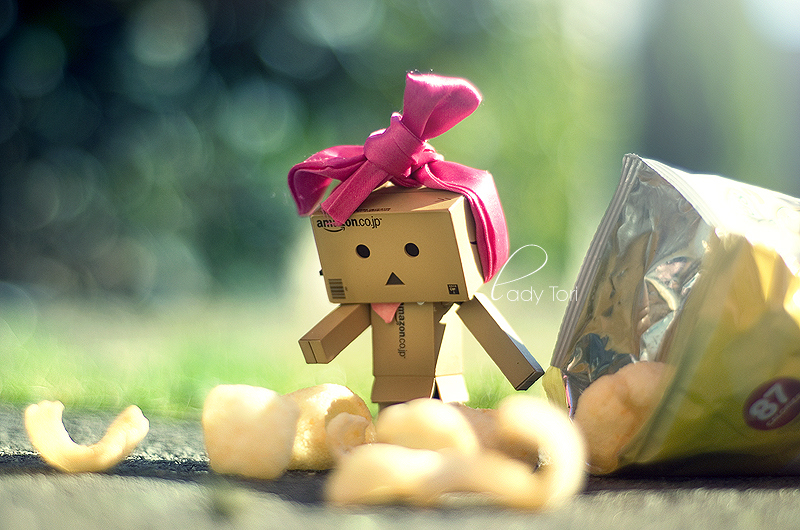 box, chips and danbo
