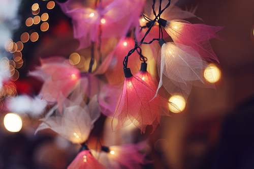 art-cute-flower-lights-photograph-Favim.