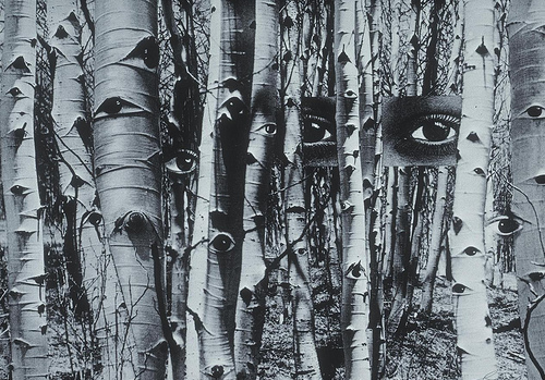 art, eyes and forest