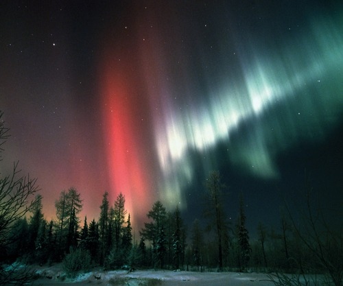 aurora borealis, lights and nature
