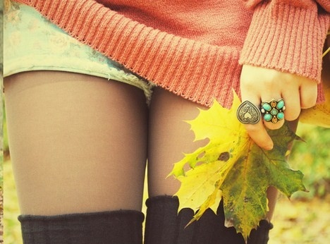 autumn, cute and fall