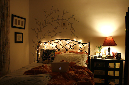 bed, branches and cozy