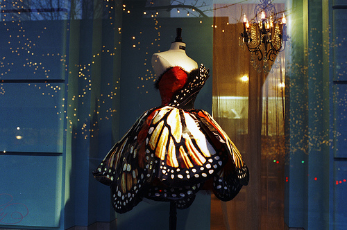 butterfly, dress and fashion