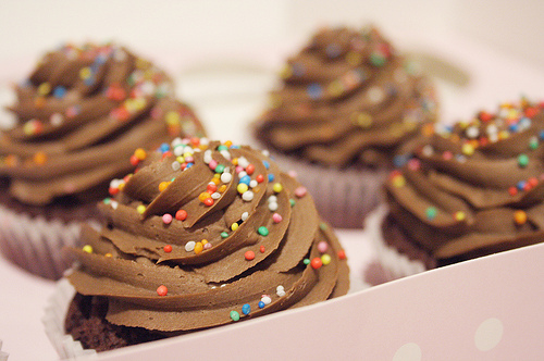chocolate cupcake, cupcake, cupcakes, delicious, food, yum