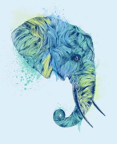 drawing, elephant and illustration
