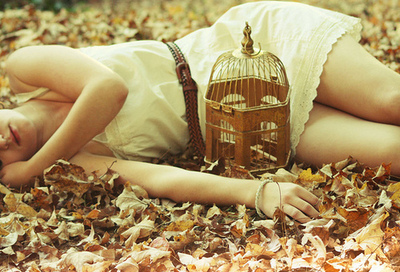 alone, bird cage, cage, down, girl, loved