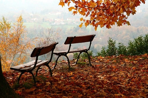 autumn, bench, fall, photograph, photography, pretty