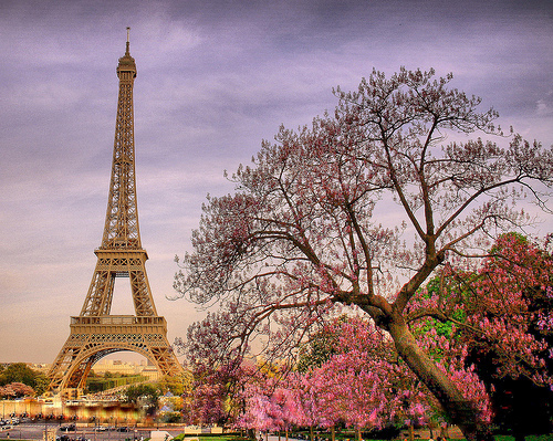 beautiful, colors and eiffel