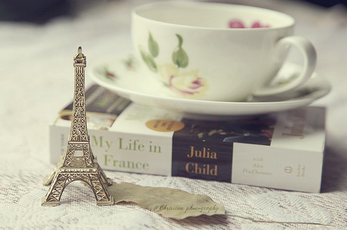 book, eiffel and france