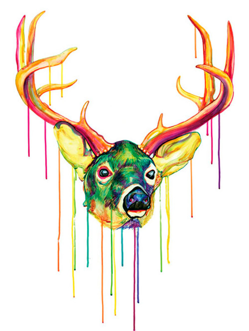 antlers, colorful and deer