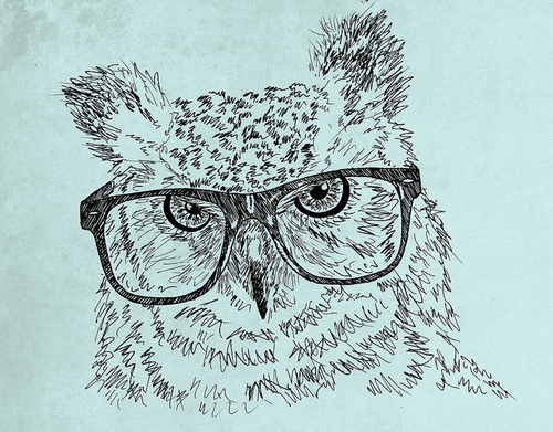 art-bird-drawing-glasses-hipster-owl-Favim.com-63324.jpg
