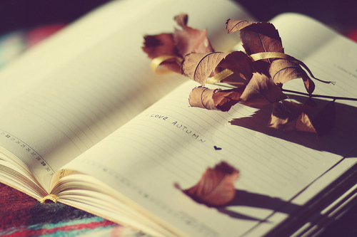 autumn, book and leaves