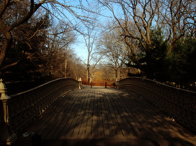 bridge,  central park and  new york