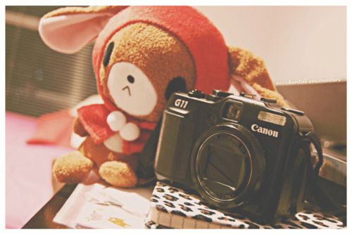 camera, cute and cutesy