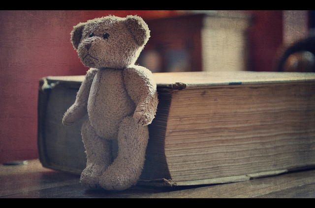 bear, book and cute