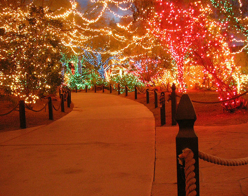 bright, christmas and christmas lights