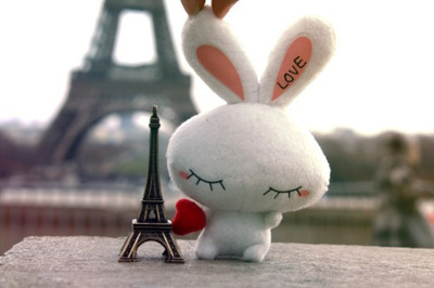 bunny,  cute and  eiffel tower