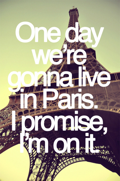 eiffel tower, france and friendly fires