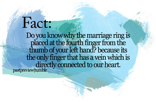 fact, heart, love, marriage, ring, text
