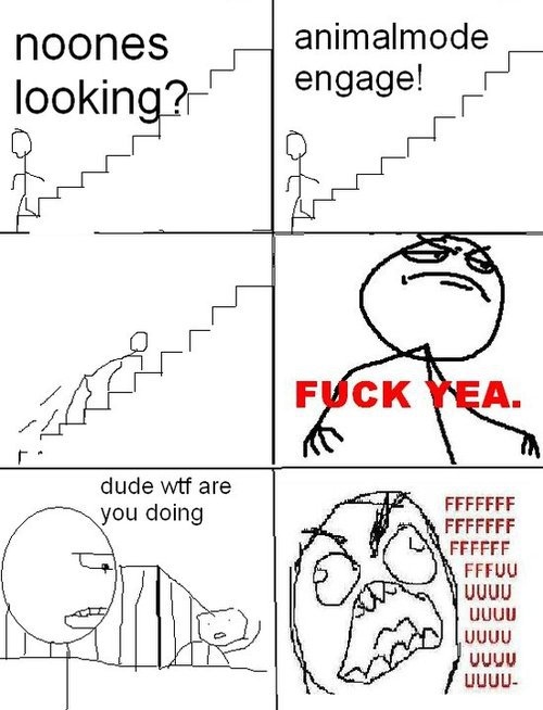 animal, cartoon, funny, humor, humour, lol