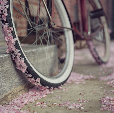 bicycle, bike and flowers