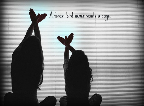 bird, cage and cute