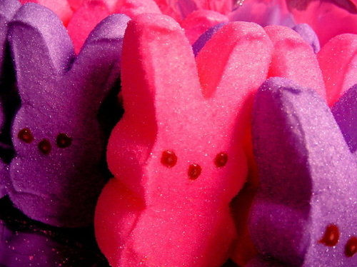 bunnies, candy and pink