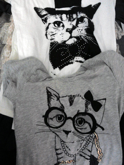 cat, cute and fashion