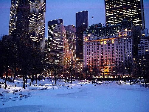 central park, light and new york