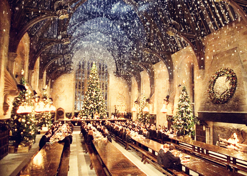 christmas, dream and harry potter