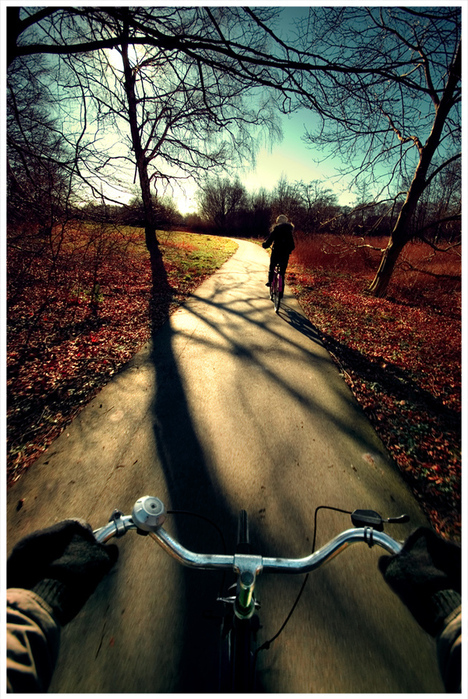 autumn, beautiful and bike