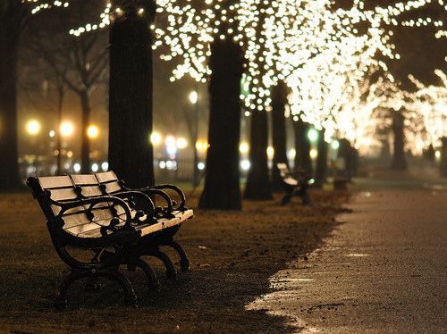 bench, central park and dark