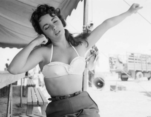 1950s, black and white and elizabeth taylor