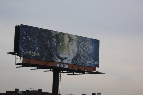 amazing, december and lion