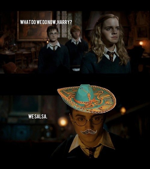 funny, harry potter and huashuashuash