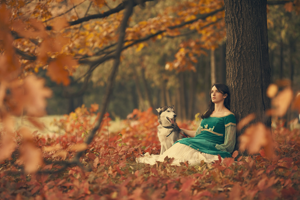 autumn, dog and dreaming